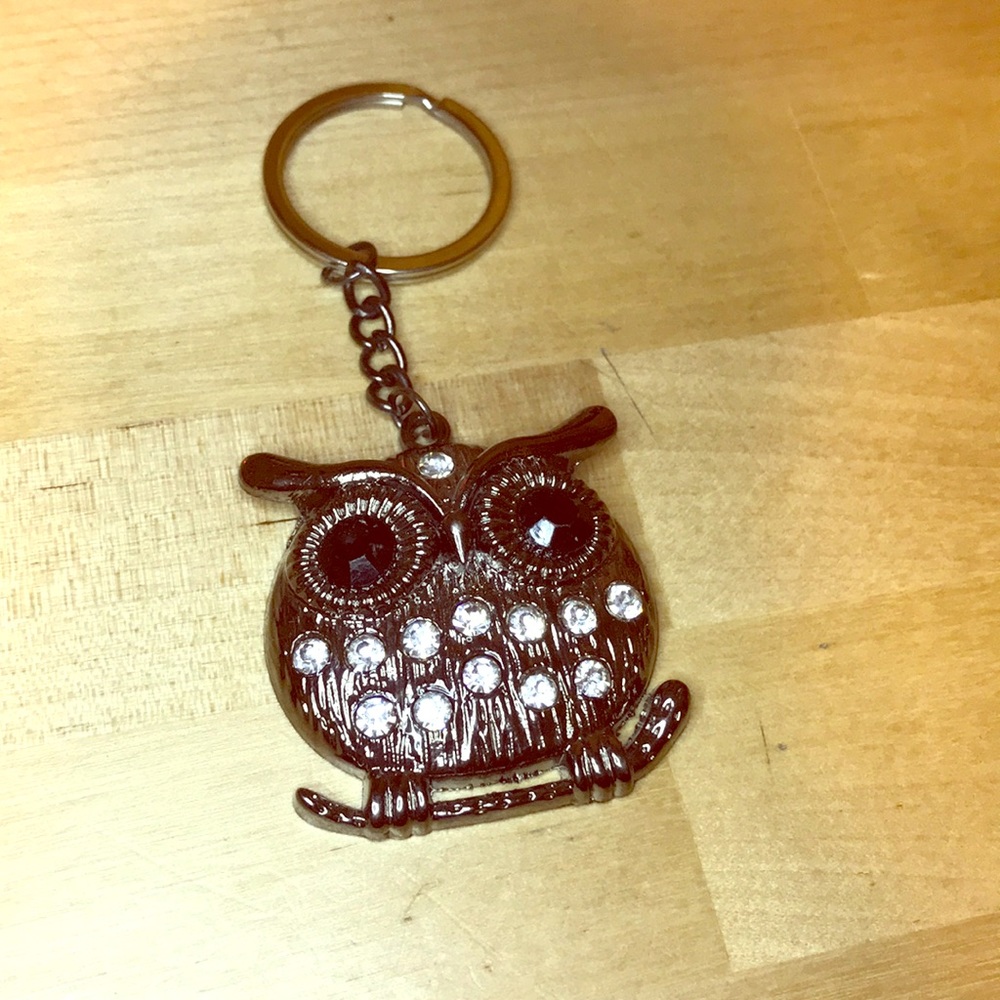 New crystal cz owl keychain great for teachers